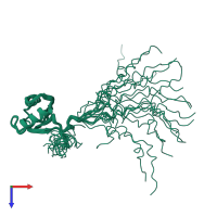 PDB entry 1whx coloured by chain, ensemble of 20 models, top view.