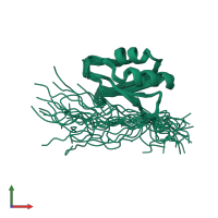 PDB entry 1why coloured by chain, ensemble of 20 models, front view.