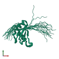 PDB entry 1wi8 coloured by chain, ensemble of 20 models, front view.