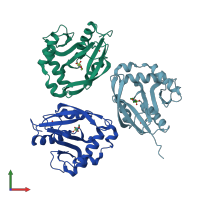PDB entry 1wk4 coloured by chain, front view.