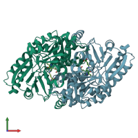 PDB entry 1wkg coloured by chain, front view.