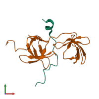 PDB entry 1wlp coloured by chain, front view.