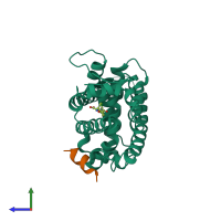 PDB entry 1wm0 coloured by chain, side view.