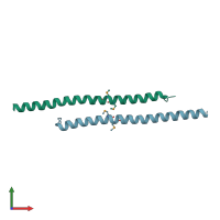 PDB entry 1wq6 coloured by chain, front view.