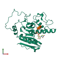 PDB entry 1wt3 coloured by chain, front view.