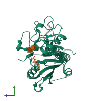 PDB entry 1wt3 coloured by chain, side view.