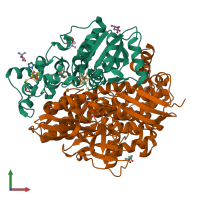 PDB entry 1wui coloured by chain, front view.