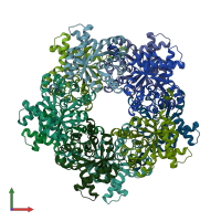 PDB entry 1wx0 coloured by chain, front view.