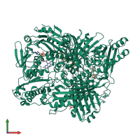 PDB entry 1wyg coloured by chain, front view.