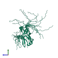 PDB entry 1wyj coloured by chain, ensemble of 20 models, side view.