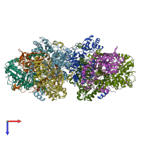 PDB entry 1wyv coloured by chain, top view.