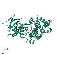 Mitogen-activated protein kinase 1 in PDB entry 1wzy, assembly 1, top view.