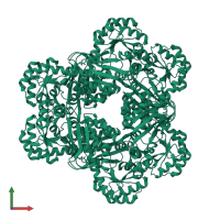 Homo hexameric assembly 1 of PDB entry 1x1o coloured by chemically distinct molecules, front view.