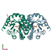 PDB entry 1x1z coloured by chain, front view.