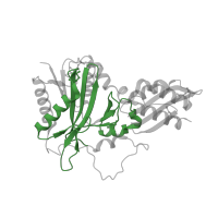 The deposited structure of PDB entry 1x2g contains 3 copies of Pfam domain PF03099 (Biotin/lipoate A/B protein ligase family) in Lipoate-protein ligase A. Showing 1 copy in chain C.