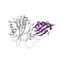 The deposited structure of PDB entry 1x2g contains 3 copies of Pfam domain PF10437 (Bacterial lipoate protein ligase C-terminus) in Lipoate-protein ligase A. Showing 1 copy in chain C.