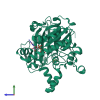 PDB entry 1x3n coloured by chain, side view.
