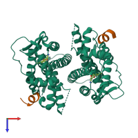 Hetero tetrameric assembly 1 of PDB entry 1x76 coloured by chemically distinct molecules, top view.