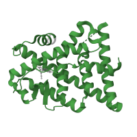 The deposited structure of PDB entry 1x78 contains 2 copies of SCOP domain 48509 (Nuclear receptor ligand-binding domain) in Estrogen receptor beta. Showing 1 copy in chain A.