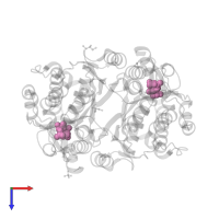 FRUCTOSE -6-PHOSPHATE in PDB entry 1x9h, assembly 1, top view.