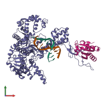 PDB 1x9w coloured by chain and viewed from the front.