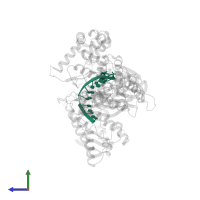 5'-D(*GP*GP*AP*GP*AP*GP*TP*GP*AP*TP*T*GP*GP*T*AP*GP*TP*GP*TP*GP*AP*(2DT))-3' in PDB entry 1x9w, assembly 1, side view.