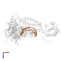 5'-D(*CP*CP*CP*(AFG)*AP*TP*CP*AP*CP*AP*CP*TP*AP*CP*CP*AP*AP*TP*CP*AP*CP*TP*CP*TP*CP*C)-3' in PDB entry 1x9w, assembly 1, top view.