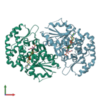 PDB entry 1xal coloured by chain, front view.