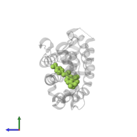 4-[(1E)-2-(5,5,8,8-TETRAMETHYL-5,6,7,8-TETRAHYDRONAPHTHALEN-2-YL)PROP-1-ENYL]BENZOIC ACID in PDB entry 1xap, assembly 1, side view.