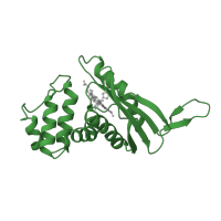 The deposited structure of PDB entry 1xbn contains 1 copy of SCOP domain 111127 (H-NOX domain) in Methyl-accepting transducer domain-containing protein. Showing 1 copy in chain A.