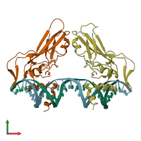 PDB entry 1xbr coloured by chain, front view.