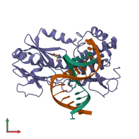 Hetero trimeric assembly 1 of PDB entry 1xc8 coloured by chemically distinct molecules, front view.