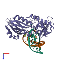 Hetero trimeric assembly 1 of PDB entry 1xc8 coloured by chemically distinct molecules, top view.