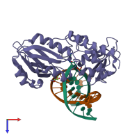 PDB entry 1xc8 coloured by chain, top view.