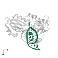 5'-D(*CP*TP*CP*TP*TP*TP*(FOX)P*TP*TP*TP*CP*TP*CP*G)-3' in PDB entry 1xc8, assembly 1, top view.