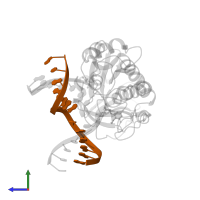 5'-D(*GP*CP*GP*AP*GP*AP*AP*AP*CP*AP*AP*AP*GP*A)-3' in PDB entry 1xc8, assembly 1, side view.