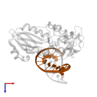 5'-D(*GP*CP*GP*AP*GP*AP*AP*AP*CP*AP*AP*AP*GP*A)-3' in PDB entry 1xc8, assembly 1, top view.