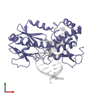 Formamidopyrimidine-DNA glycosylase in PDB entry 1xc8, assembly 1, front view.