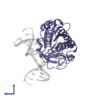 Formamidopyrimidine-DNA glycosylase in PDB entry 1xc8, assembly 1, side view.