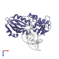 Formamidopyrimidine-DNA glycosylase in PDB entry 1xc8, assembly 1, top view.