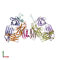 PDB entry 1xct coloured by chain, front view.