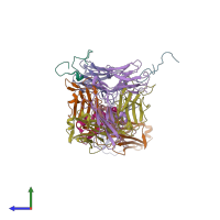 PDB entry 1xct coloured by chain, side view.
