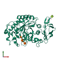 PDB entry 1xcx coloured by chain, front view.