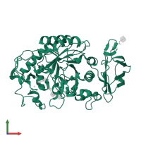 Pancreatic alpha-amylase in PDB entry 1xd1, assembly 1, front view.