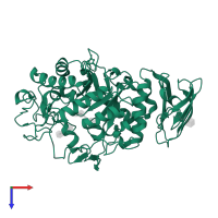 Pancreatic alpha-amylase in PDB entry 1xd1, assembly 1, top view.