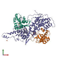 PDB entry 1xd2 coloured by chain, front view.