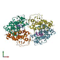 PDB entry 1xdk coloured by chain, front view.