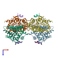 PDB entry 1xdk coloured by chain, top view.