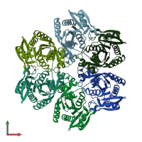 PDB entry 1xe3 coloured by chain, front view.