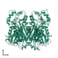 Pinosylvin synthase in PDB entry 1xet, assembly 2, front view.